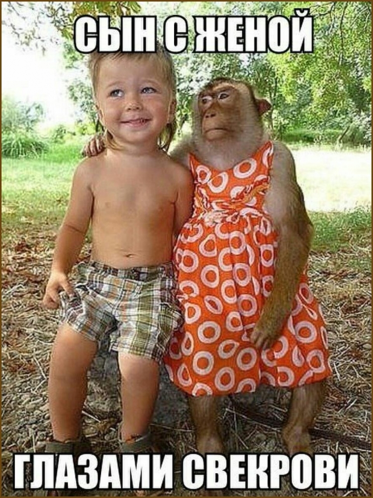 Фото приколы и казусы, фото 28