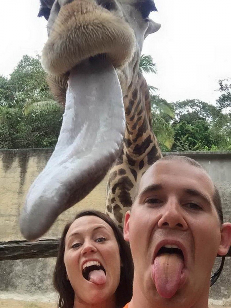 Фото приколы и казусы, фото 26