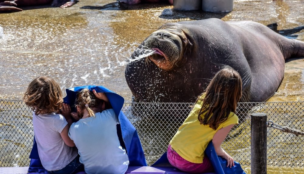 Фото приколы и казусы, фото 4