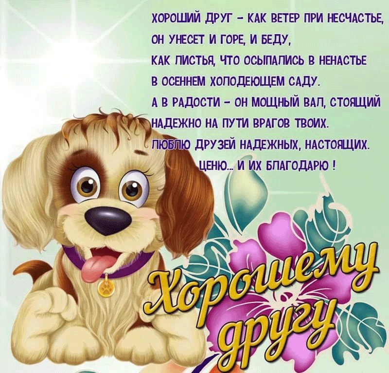 Картинки для друзей, фото 15 Картинки для друзей, фото 15