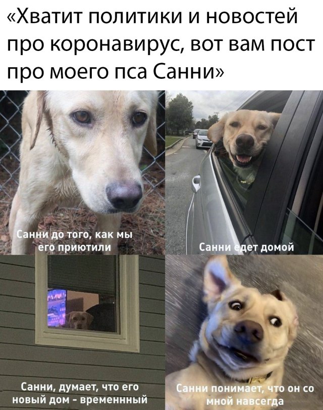 Предлагаю посмотреть на подборку шуточных картинок про короновирус, фото 8 Предлагаю посмотреть на подборку шуточных картинок про короновирус, фото 8