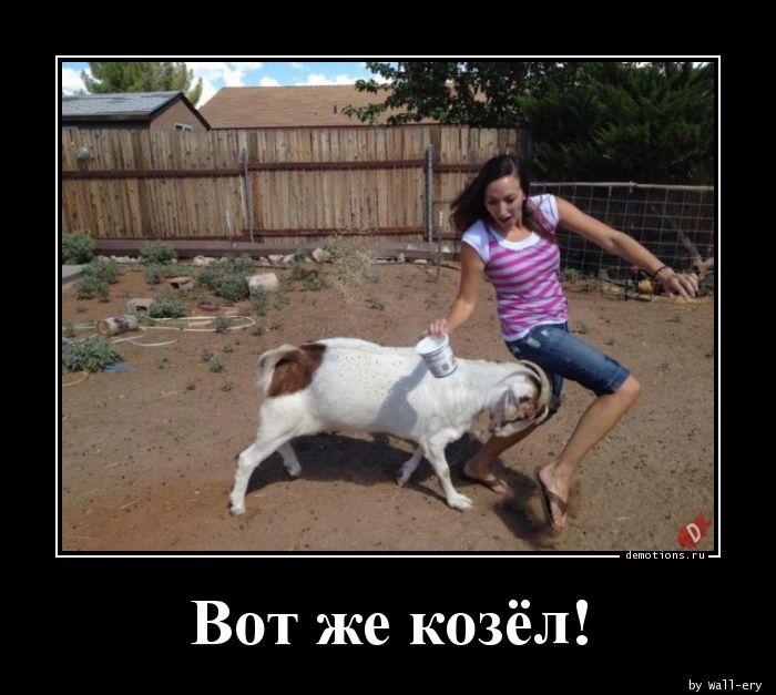 Демотиваторы про Козликофф, фото 14 Демотиваторы про Козликофф, фото 14