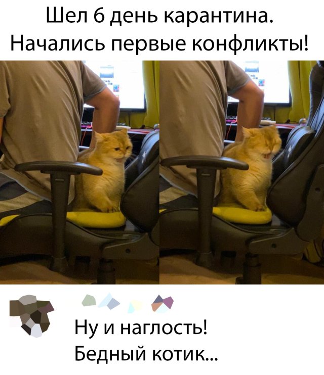 Юмор про коронавирус, фото 10 Юмор про коронавирус, фото 10