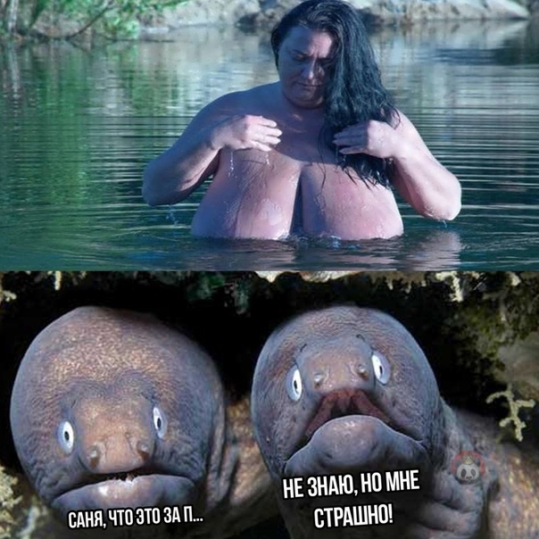 Фото приколы и казусы, фото 20