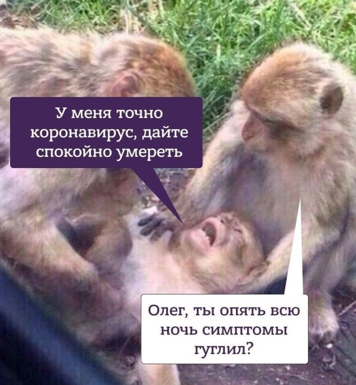 Смешные картинки про Коронавирус, фото 14 Смешные картинки про Коронавирус, фото 14
