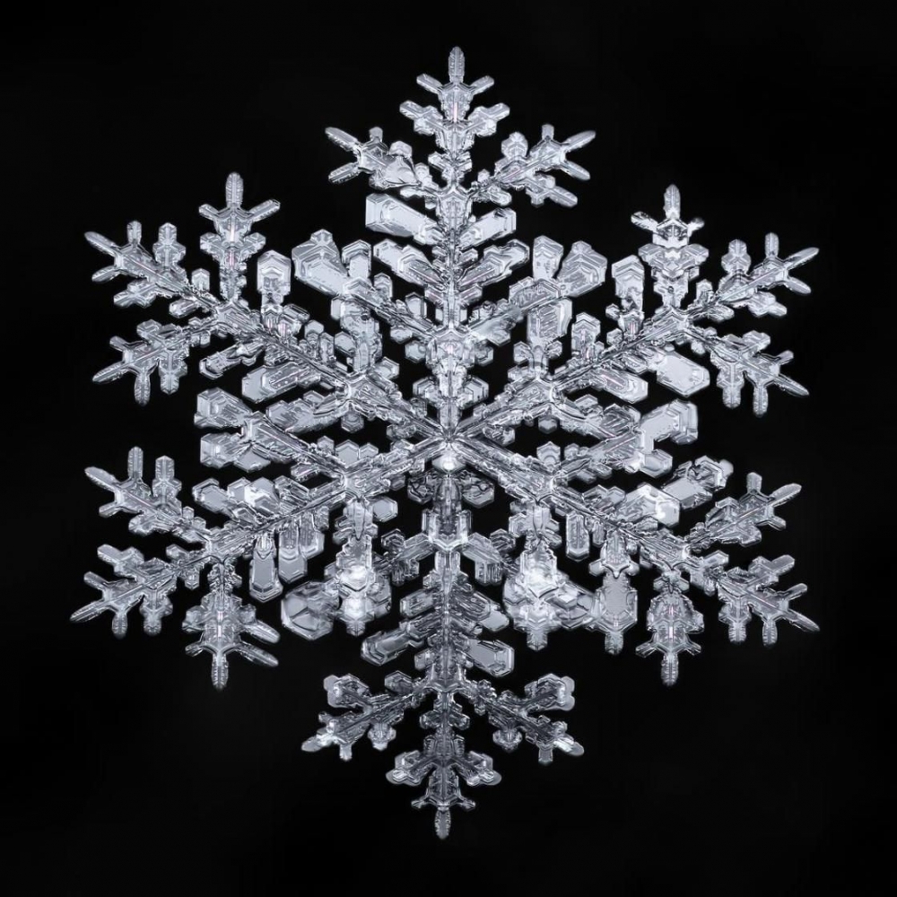 Снежинки - чудо природы, фото 14 Снежинки - чудо природы, фото 14