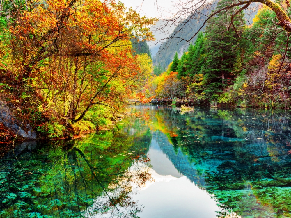 Осенние обои, фото 15 Осенние обои, фото 15