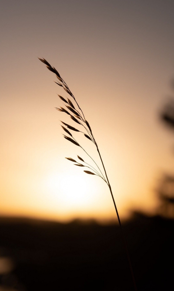 Подборка обоев для iphona 7plus. 10часть( последняя)., фото 97 Подборка обоев для iphona 7plus. 10часть( последняя)., фото 97