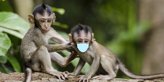 Смешные картинки про Короновирус, фото 3 Смешные картинки про Короновирус, фото 3