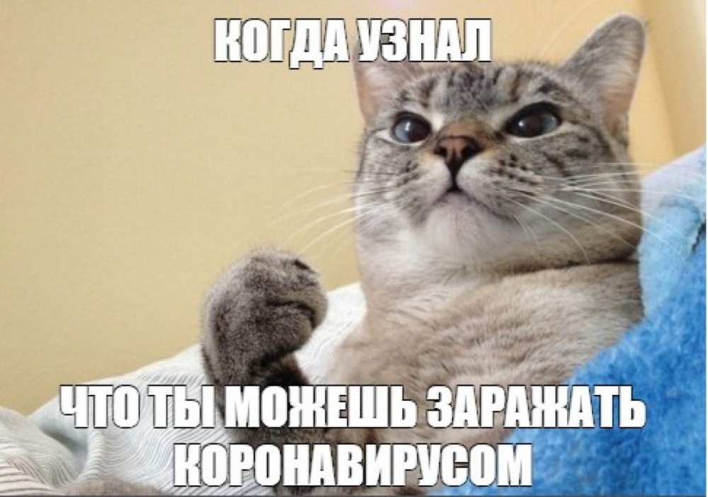 Смешные картинки про Короновирус, фото 32 Смешные картинки про Короновирус, фото 32