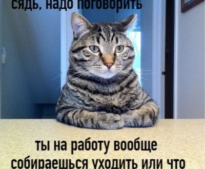 Смешные картинки про Короновирус, фото 33 Смешные картинки про Короновирус, фото 33