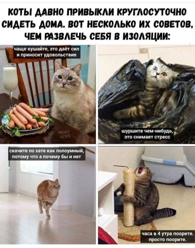 Смешные картинки про Короновирус, фото 34 Смешные картинки про Короновирус, фото 34