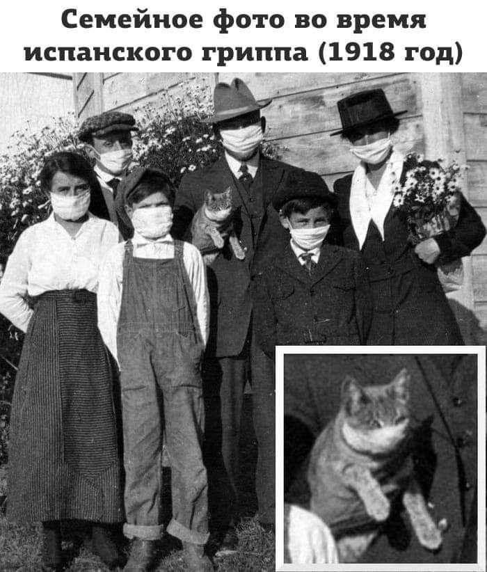 Представляю вам смешные картинки про коронавирус, фото 2 Представляю вам смешные картинки про коронавирус, фото 2