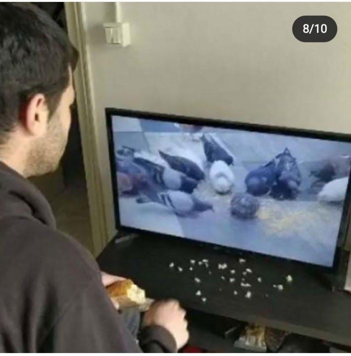 Представляю вам смешные картинки про коронавирус, фото 5 Представляю вам смешные картинки про коронавирус, фото 5