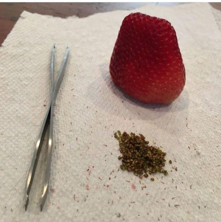 Представляю вам смешные картинки про коронавирус, фото 6 Представляю вам смешные картинки про коронавирус, фото 6