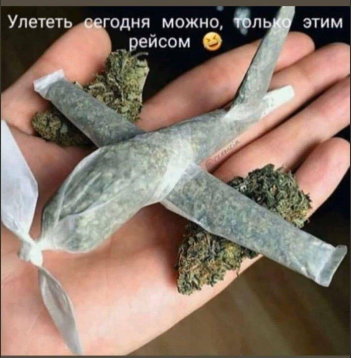 Представляю вам смешные картинки про коронавирус, фото 12 Представляю вам смешные картинки про коронавирус, фото 12