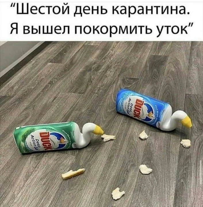 Представляю вам смешные картинки про коронавирус, фото 32 Представляю вам смешные картинки про коронавирус, фото 32