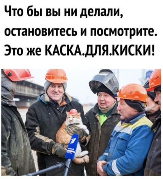 Смешные, интересные и веселые надписи, фото 21