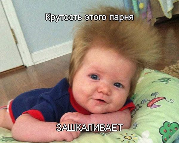 Весёлые картинки про людей из жизни, фото 5 Весёлые картинки про людей из жизни, фото 5