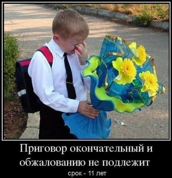 Весёлые картинки про людей из жизни, фото 15 Весёлые картинки про людей из жизни, фото 15