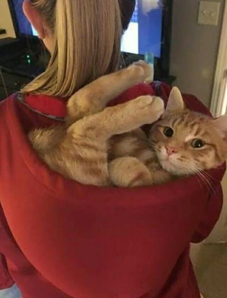 Весёлые картинки про людей из жизни, фото 16 Весёлые картинки про людей из жизни, фото 16