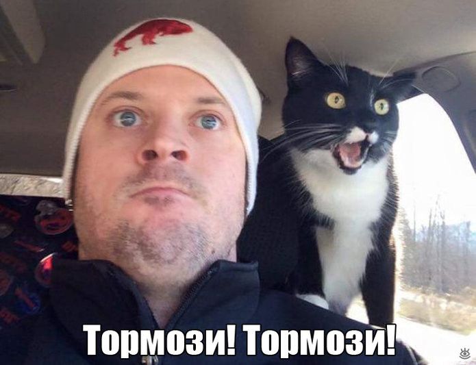 Весёлые картинки про людей из жизни, фото 18 Весёлые картинки про людей из жизни, фото 18