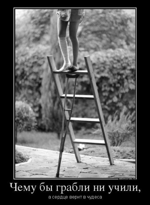 Весёлые картинки про людей из жизни, фото 30 Весёлые картинки про людей из жизни, фото 30