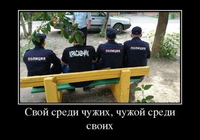 Весёлые картинки про людей из жизни, фото 32 Весёлые картинки про людей из жизни, фото 32