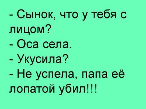 Анекдоты. Выпуск 1, фото 4 Анекдоты. Выпуск 1, фото 4