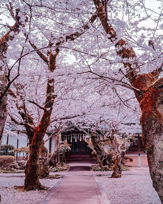 Весенние обои, фото 24 Весенние обои, фото 24