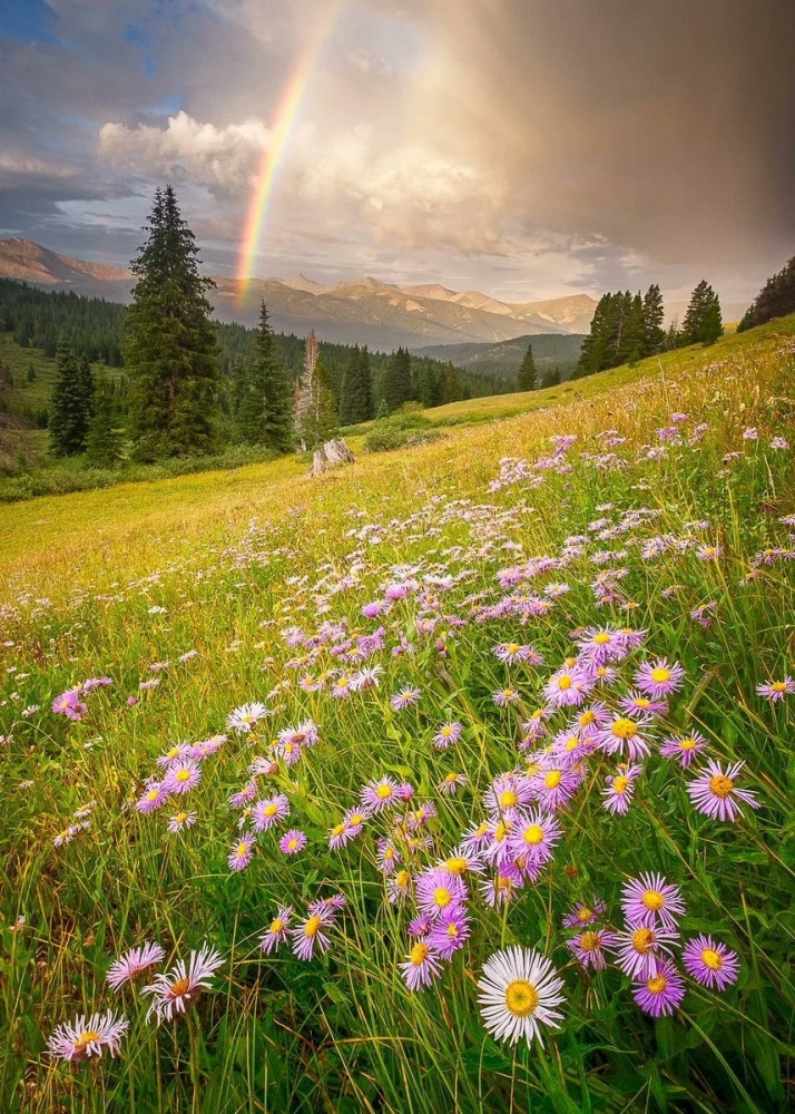 Открытки Лето-прекрасная пора, фото 16 Открытки Лето-прекрасная пора, фото 16