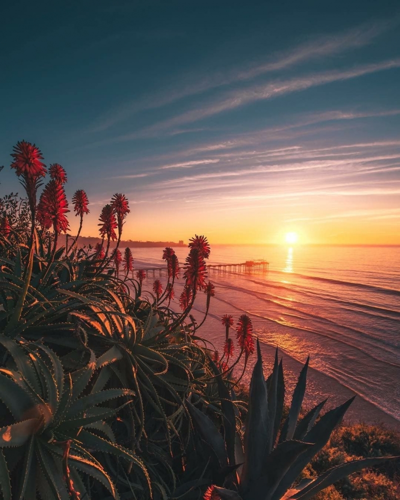 Открытки Лето-прекрасная пора, фото 20 Открытки Лето-прекрасная пора, фото 20