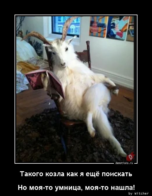 Демотиваторы про Козликофф, фото 7 Демотиваторы про Козликофф, фото 7