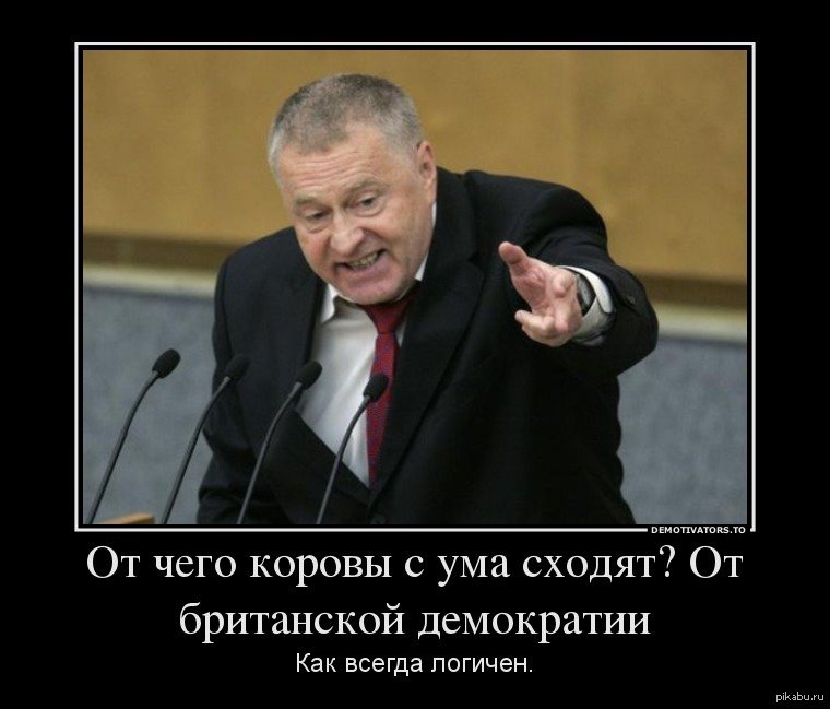 Демотиваторы про депутата Жириновского, фото 3 Демотиваторы про депутата Жириновского, фото 3
