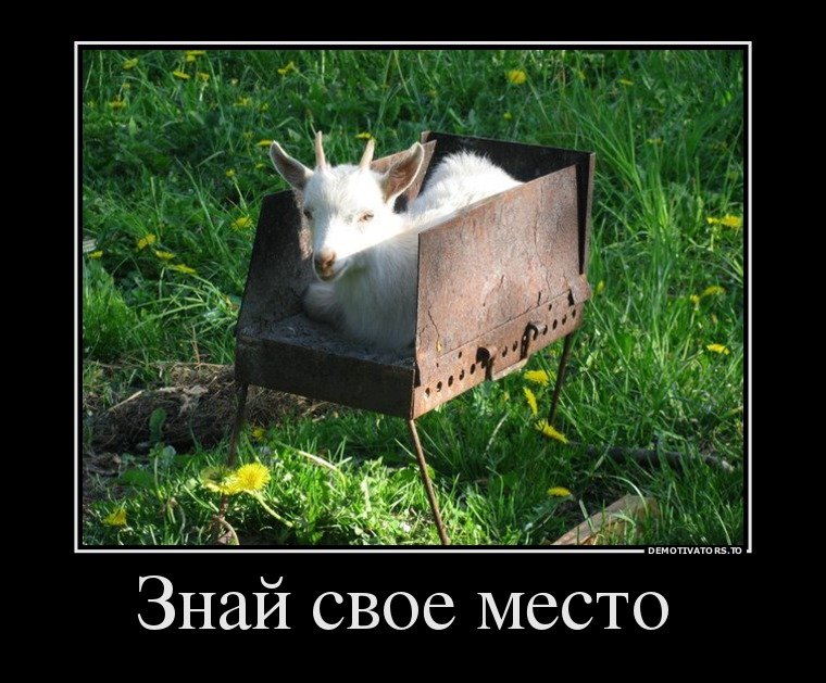 Демотиваторы про Козликофф, фото 13 Демотиваторы про Козликофф, фото 13