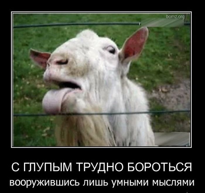 Демотиваторы про Козликофф, фото 8 Демотиваторы про Козликофф, фото 8