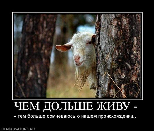 Демотиваторы про Козликофф, фото 12 Демотиваторы про Козликофф, фото 12
