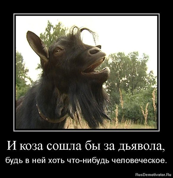 Демотиваторы про Козликофф, фото 9 Демотиваторы про Козликофф, фото 9