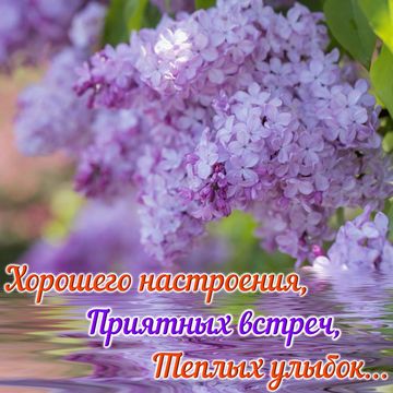 Пожелания лучшим друзьям! Открытки для своих близких друзей,лучших знакомых и товарещей!, фото 14 Пожелания лучшим друзьям! Открытки для своих близких друзей,лучших знакомых и товарещей!, фото 14