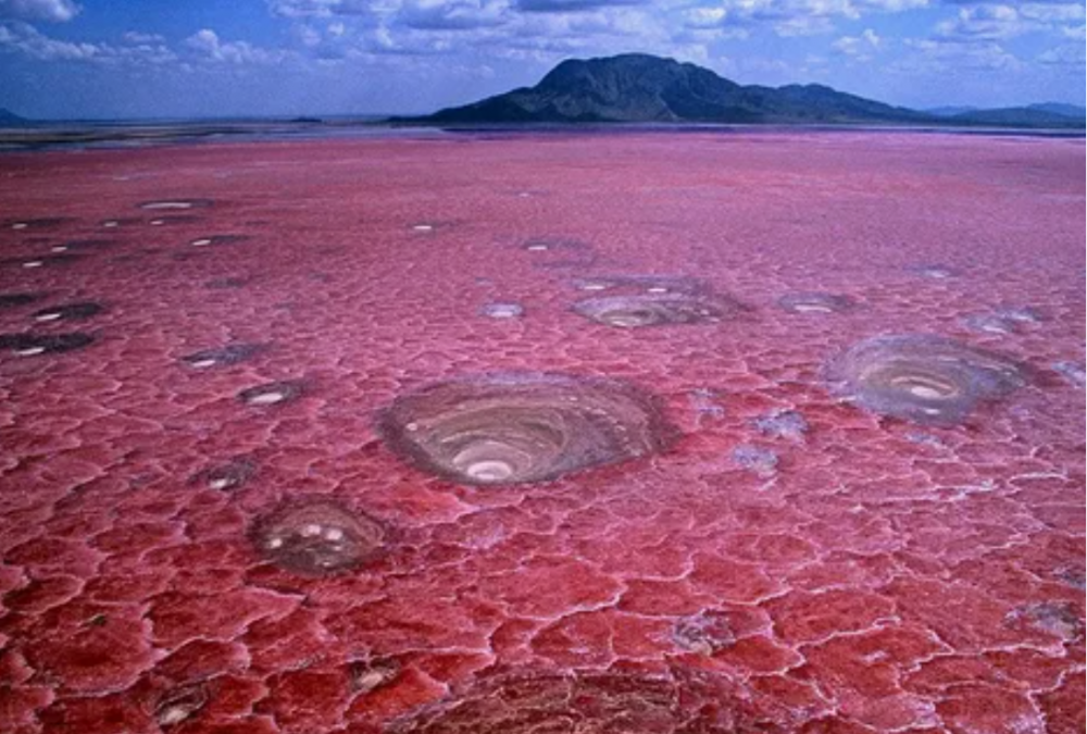 Удивительные природные аномалии, фото 15 Удивительные природные аномалии, фото 15