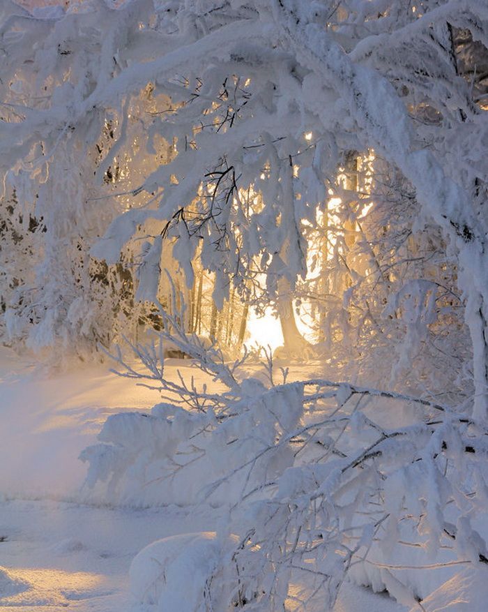Зимняя сказка, фото 14 Зимняя сказка, фото 14