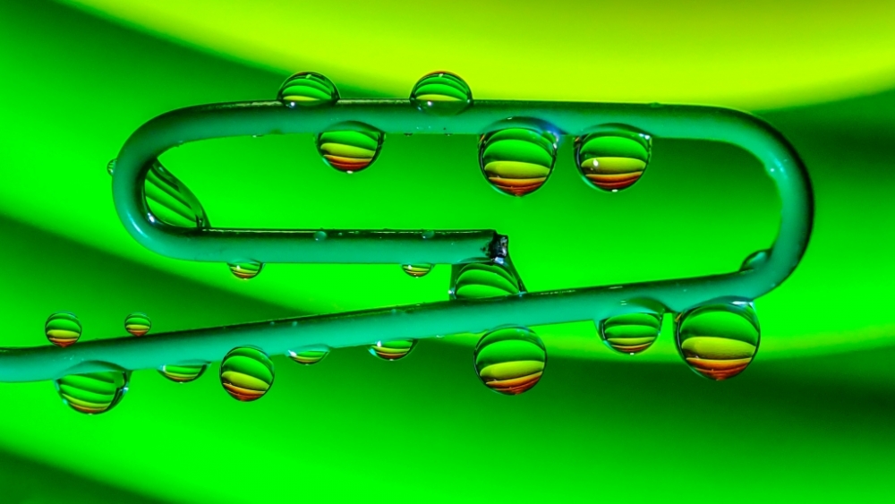 Обои макро (1), фото 16 Обои макро (1), фото 16