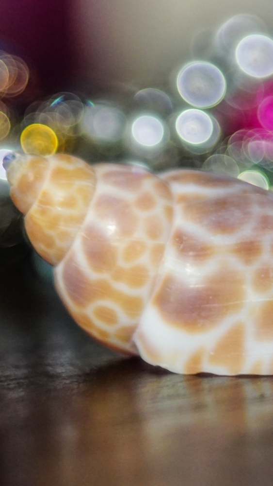 Макро обои для смартфона, фото 16 Макро обои для смартфона, фото 16