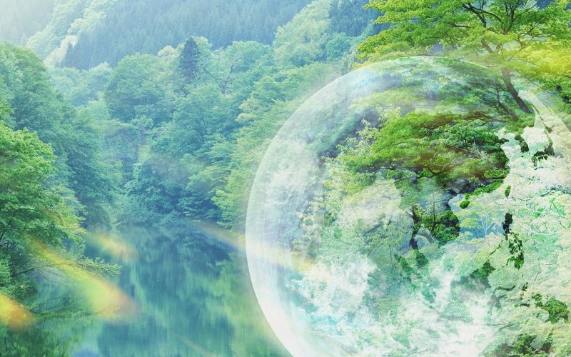 Лесное настроение. Обои и заставки с лесом., фото 16