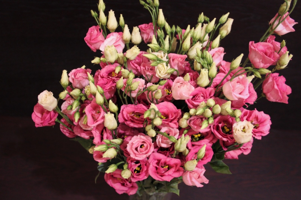 Красавица эустома, фото 15