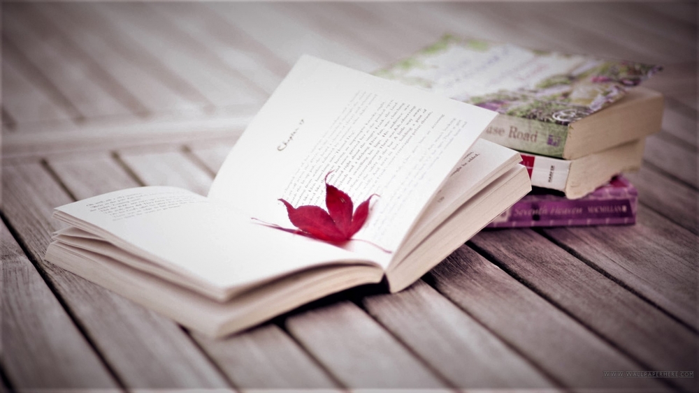Всемирный день книги и авторского права, фото 16 Всемирный день книги и авторского права, фото 16