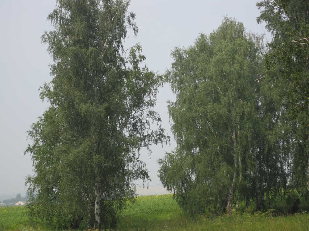 Свидание с природой, фото 17 Свидание с природой, фото 17