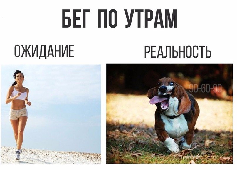 Спорт и хобби, ожидание и реальность, фото 16 Спорт и хобби, ожидание и реальность, фото 16