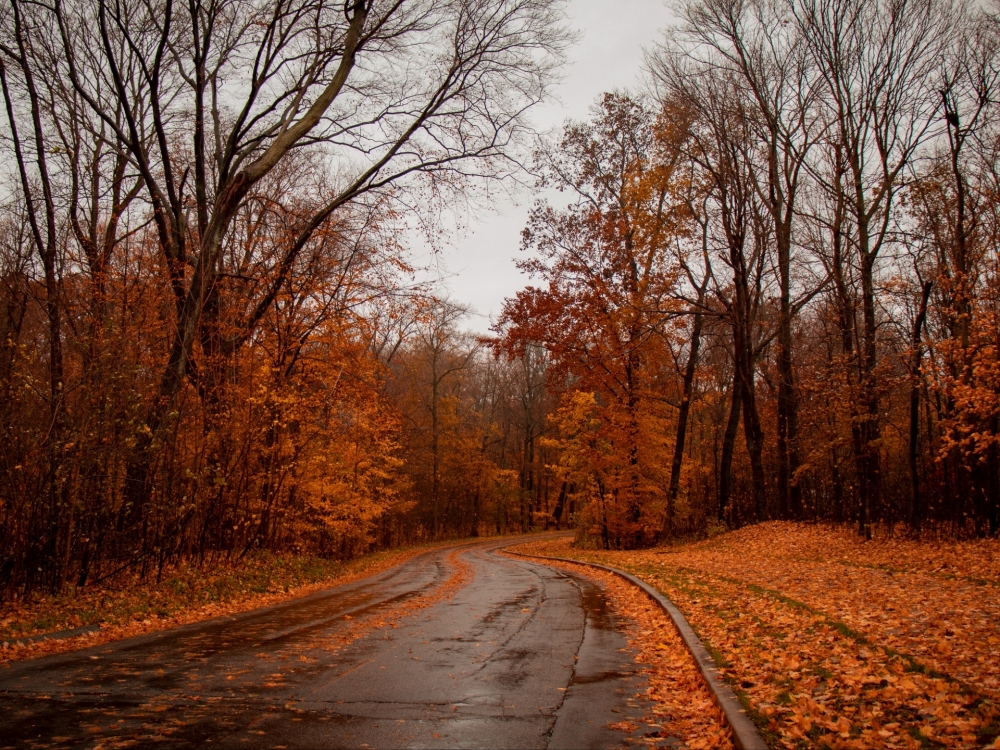 Осенние обои, фото 17 Осенние обои, фото 17