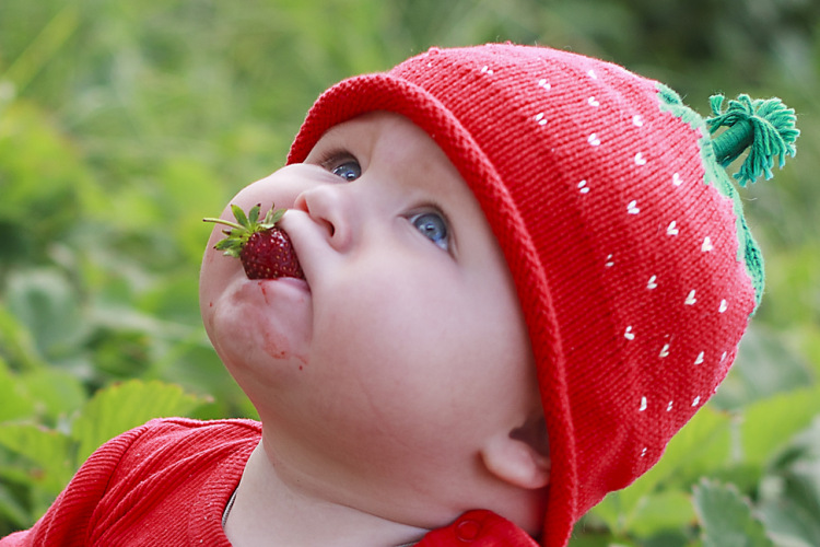 Вкусное лето, фото 18 Вкусное лето, фото 18